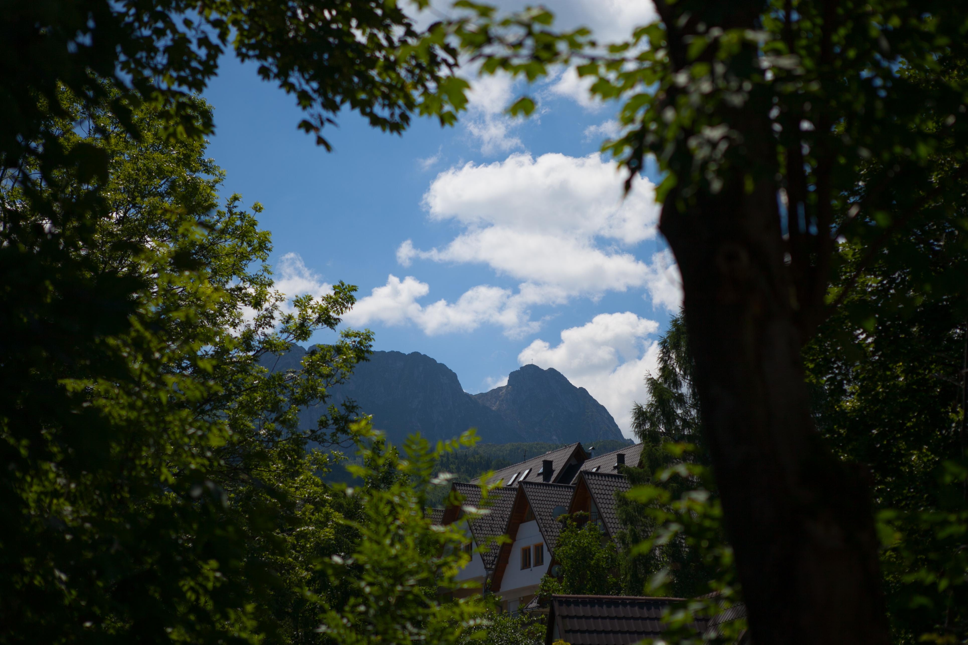 Szarotka Hotel Zakopane Buitenkant foto