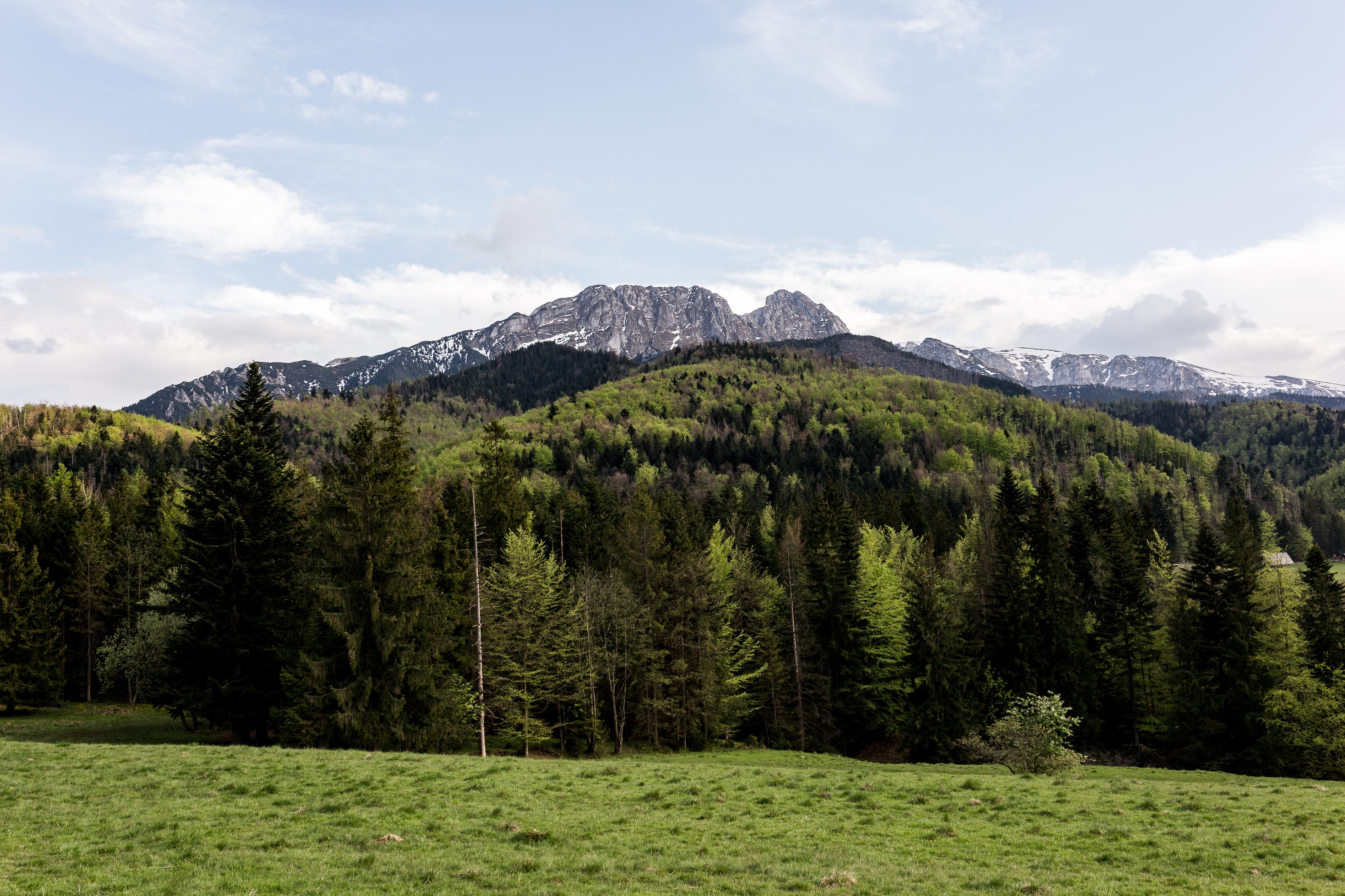 Szarotka Hotel Zakopane Buitenkant foto
